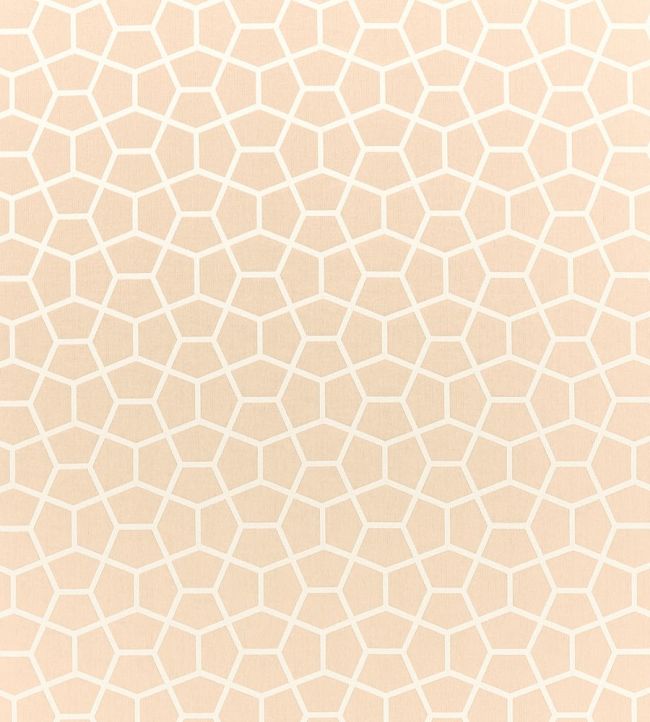 Glyptic Fabric by Harlequin Buff