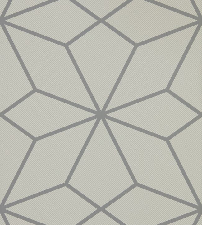 Axal Wallpaper by Harlequin Slate