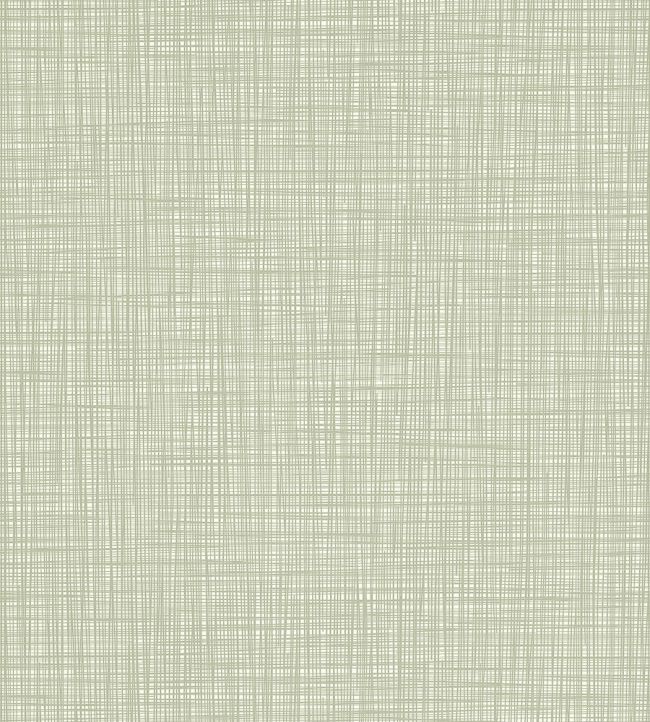 Scribble Wallpaper by Orla Kiely 424
