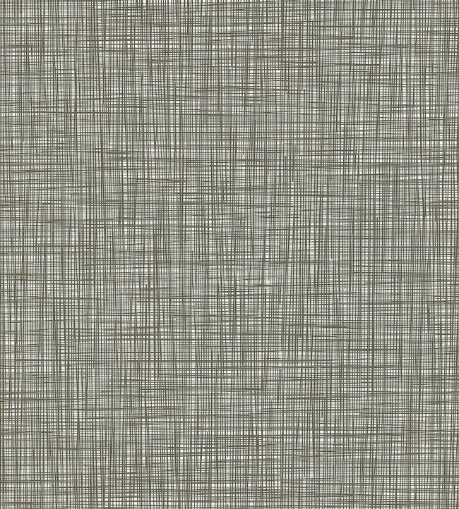 Scribble Wallpaper by Orla Kiely 426