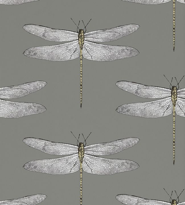 Demoiselle Wallpaper by Harlequin Graphite/Almond