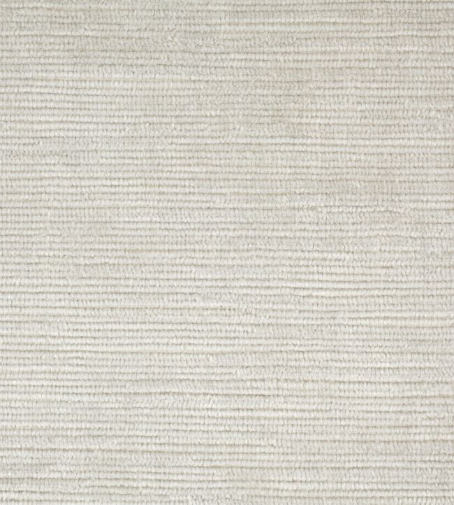 Tresillo Velvet Fabric by Harlequin Pearl