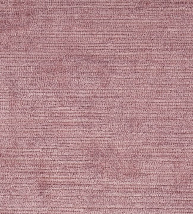Tresillo Velvet Fabric by Harlequin Rose Water