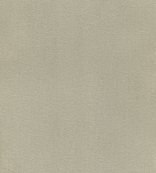 Hawai Fabric by Pepe Penalver Desert