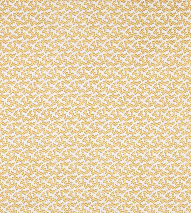 Hayden Fabric by Colefax and Fowler Gold