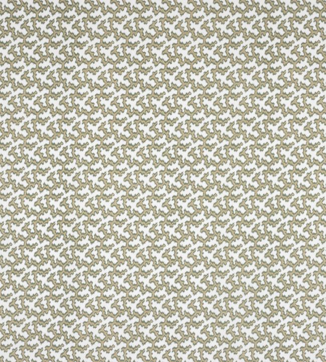 Hayden Fabric by Colefax and Fowler Green