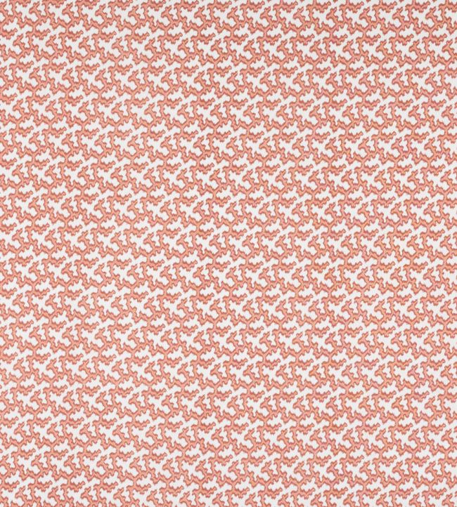 Hayden Fabric by Colefax and Fowler Tomato