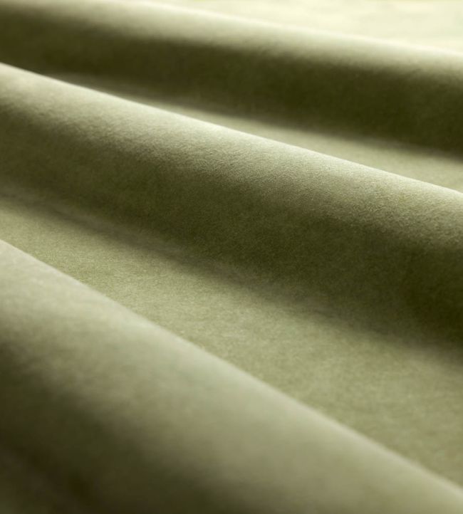 Heatherton Velvet Fabric by Harlequin Aloe