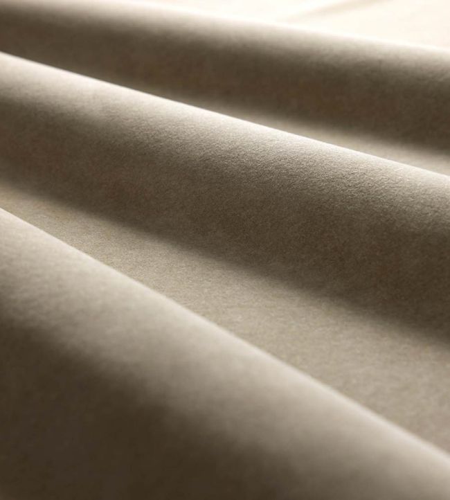 Heatherton Velvet Fabric by Harlequin Birch