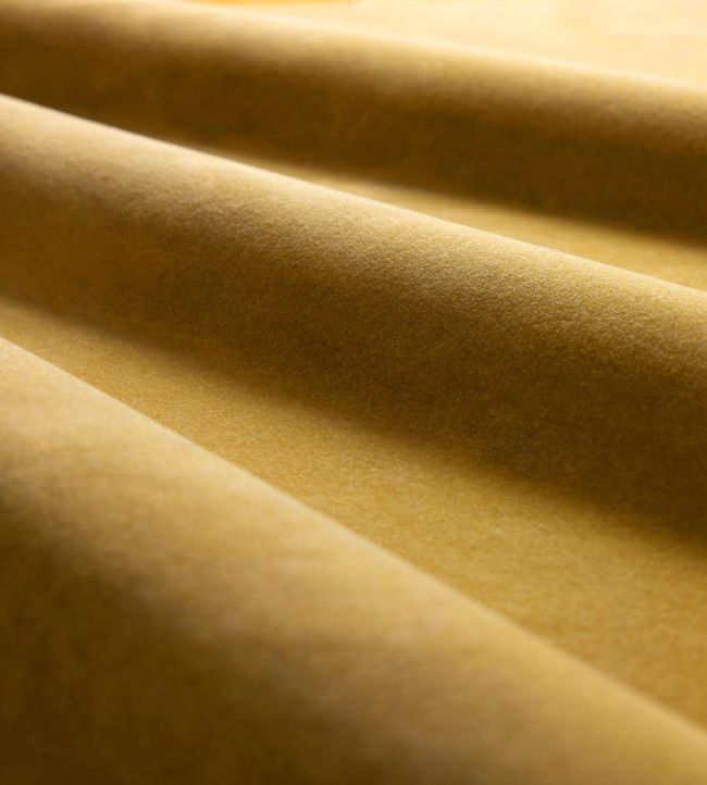 Heatherton Velvet Fabric by Harlequin Daphne