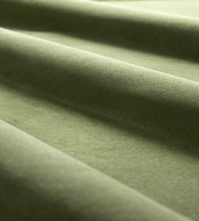 Heatherton Velvet Fabric by Harlequin Fern