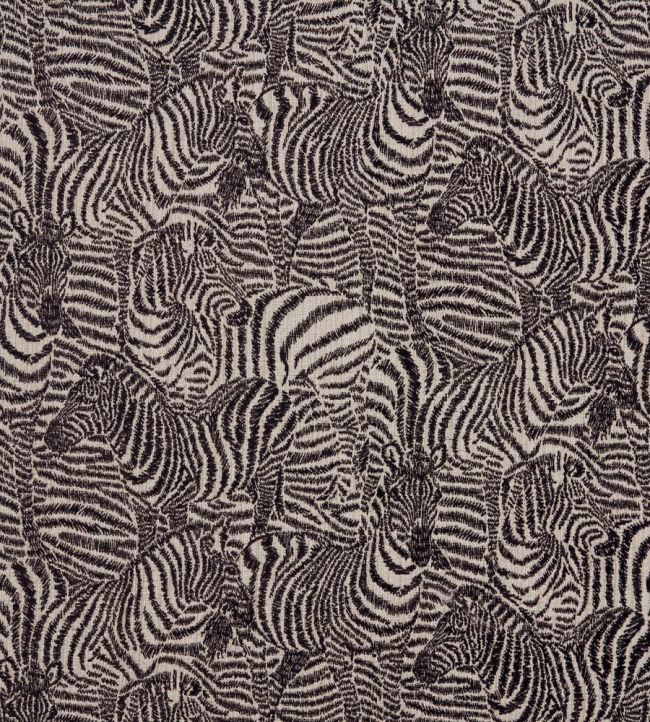 Hector Fabric by Kai Ebony