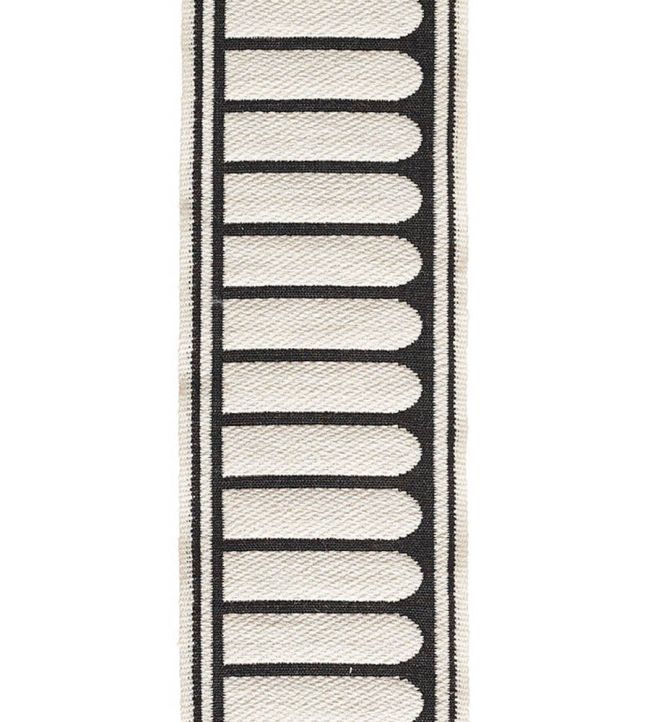 Helios Jacquard Braid 77mm Trimming by Houles 9900