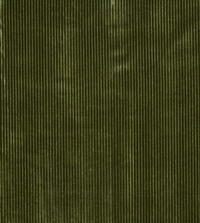 Helix Fabric by Prestigious Textiles Cactus