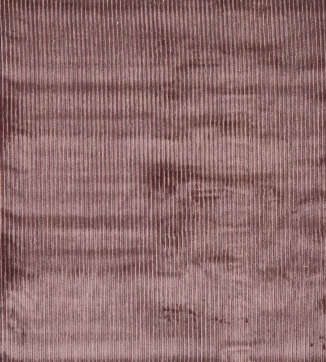 Helix Fabric by Prestigious Textiles Heather