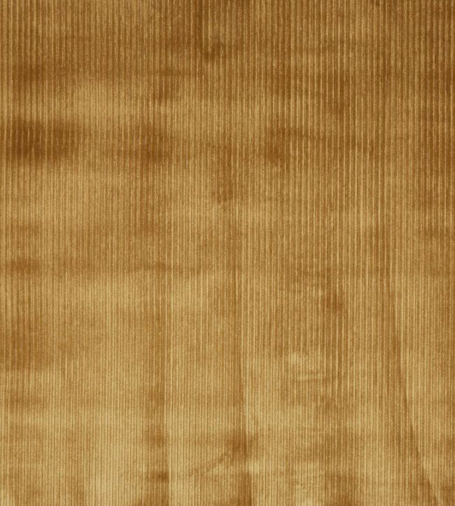 Helix Fabric by Prestigious Textiles Honey