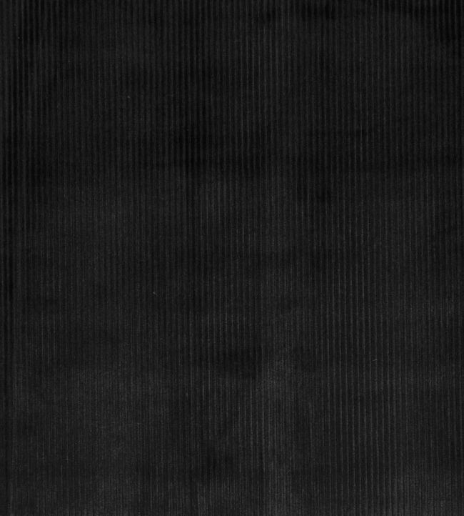 Helix Fabric by Prestigious Textiles Noire