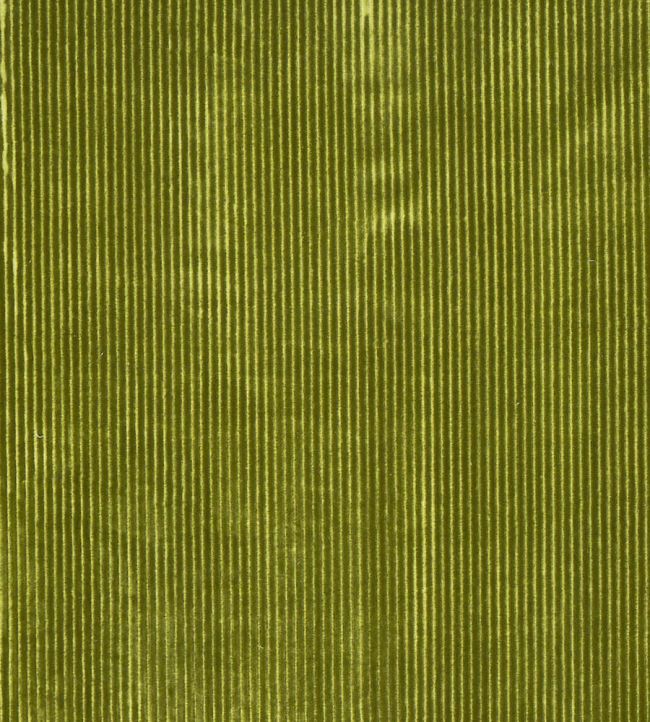 Helix Fabric by Prestigious Textiles Wasabi