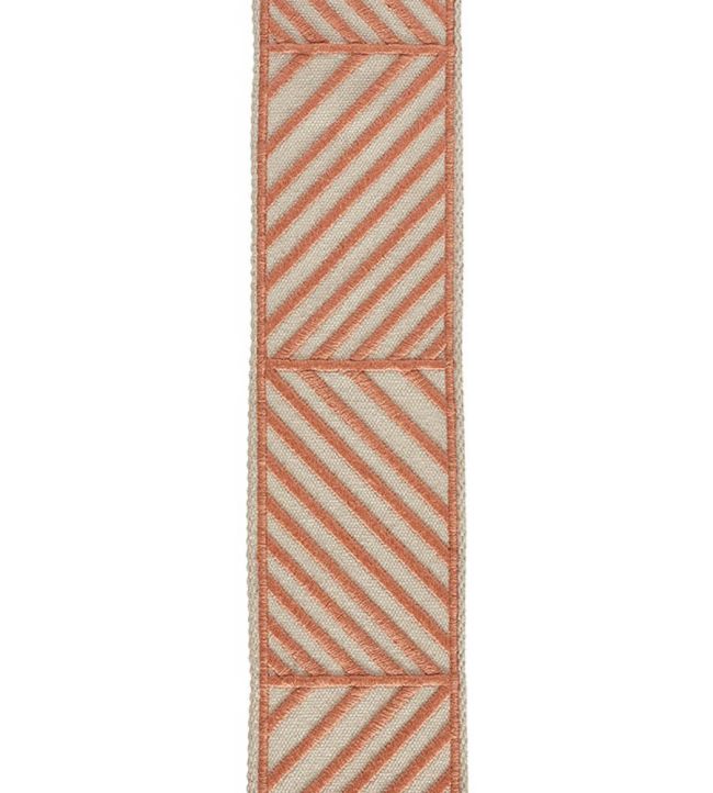 Hera Embroidered Braid 53mm Trimming by Houles 9300