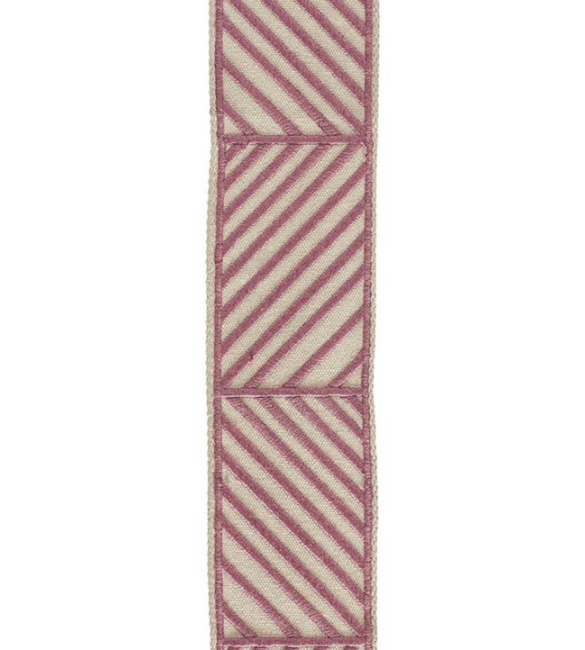 Hera Embroidered Braid 53mm Trimming by Houles 9400