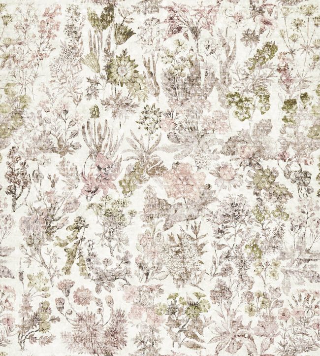 Herbaria Fabric by Osborne & Little Blush