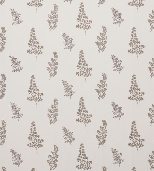 Herbarium Fabric by Clarke & Clarke Pebble