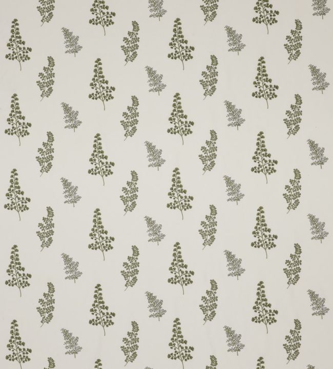 Herbarium Fabric by Clarke & Clarke Sage