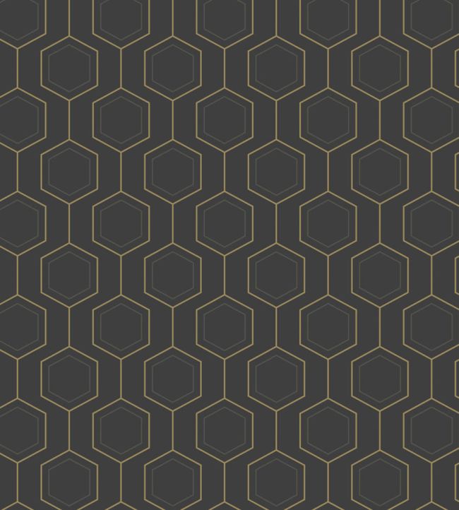 Hexaline Wallpaper by Caselio Noir or