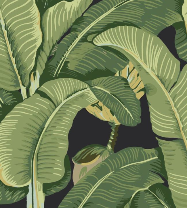 Hinson Palm Wallpaper by Scalamandre Absinthe