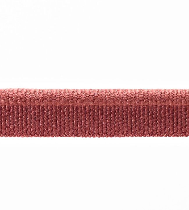 Piping 5MM Trimming by Houles 9420