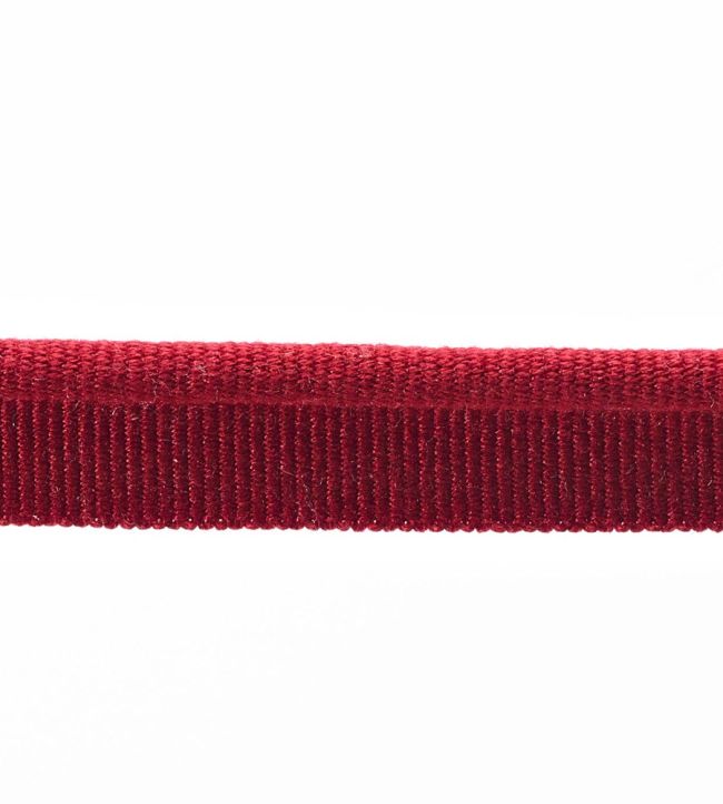 Piping 5MM Trimming by Houles 9550