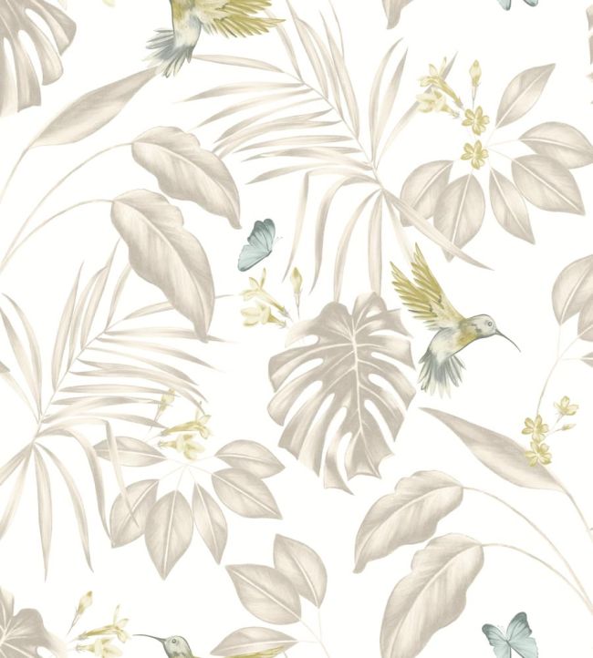 Hummingbird Wallpaper by Ohpopsi Pearl