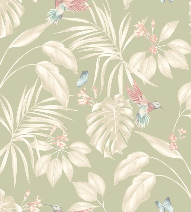 Hummingbird Wallpaper by Ohpopsi Sage