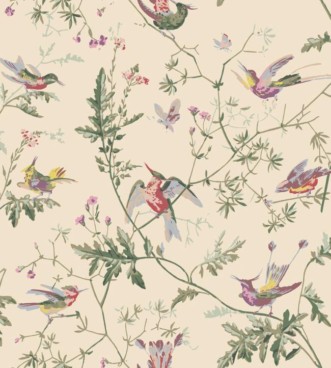 Hummingbirds Wallpaper by Cole & Son Classic Multi & Old Olive on Cream