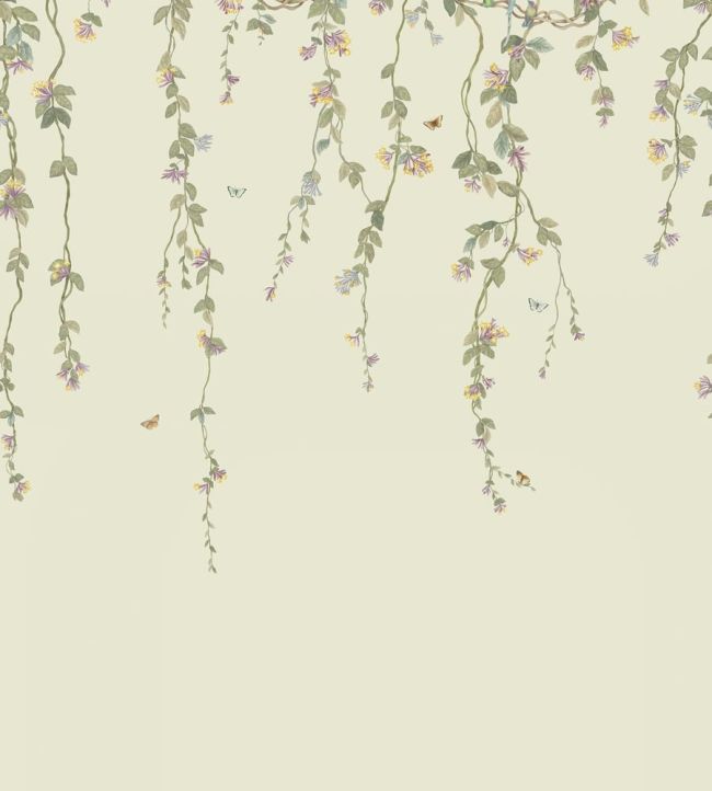 Hummingbirds Flora Mural by Cole & Son Multi, Old Olive on Eau Du Nil