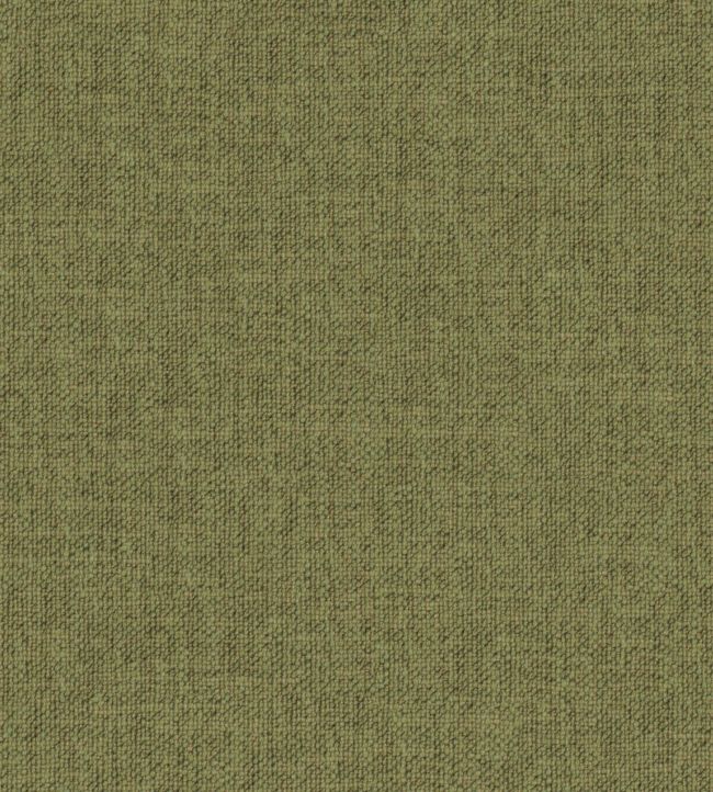 Hutton II Fabric by Wemyss Basil