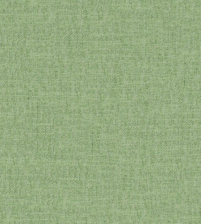 Hutton II Fabric by Wemyss Mint