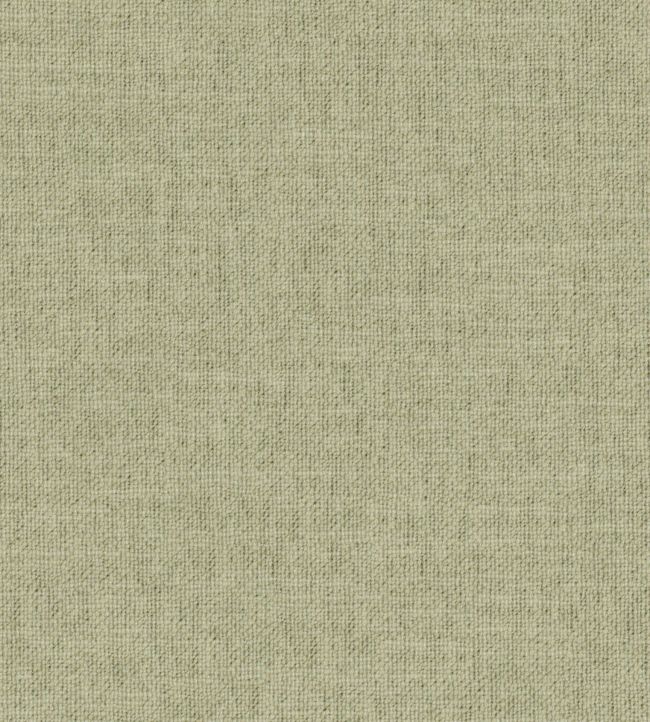 Hutton II Fabric by Wemyss Pistachio