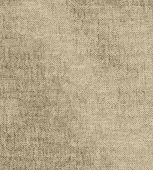 Hutton II Fabric by Wemyss Raffia
