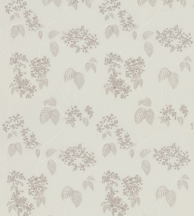 Hydrangea Sheer Fabric by GP & J Baker Ivory