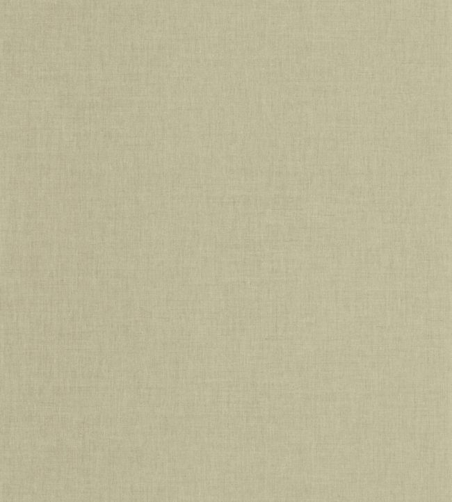 Hygge Uni Wallpaper by Caselio Vert Lichen