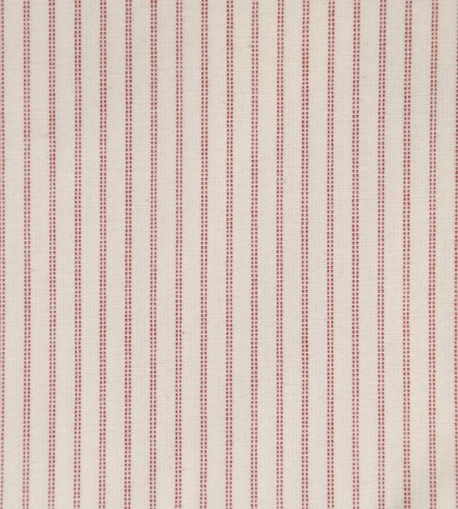 Lining Stripe Fabric by Ian Mankin Peony