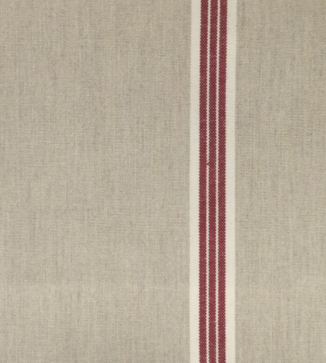 Odeon 8 Fabric by Ian Mankin Peony