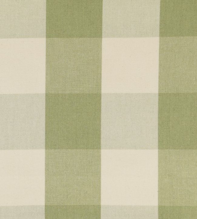 Avon Check Fabric by Ian Mankin Sage
