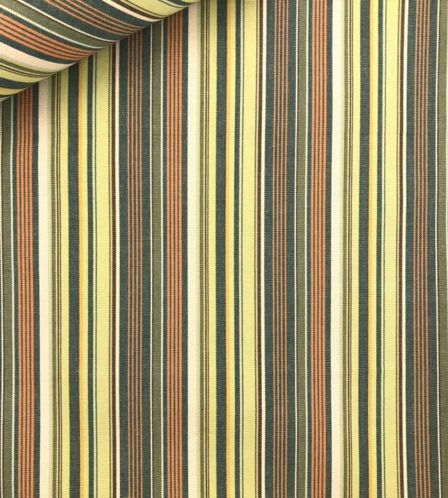 Pyjama Stripe Fabric by Ian Sanderson Jungle