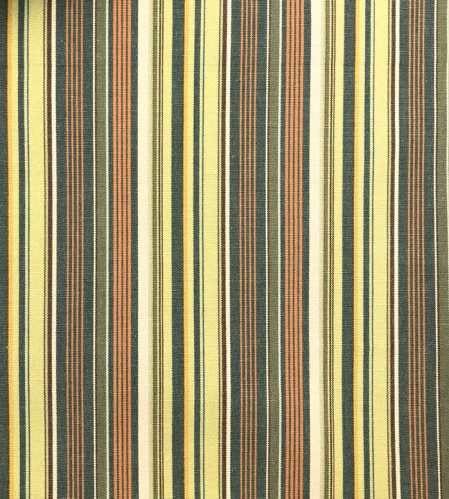 Pyjama Stripe Fabric by Ian Sanderson Jungle
