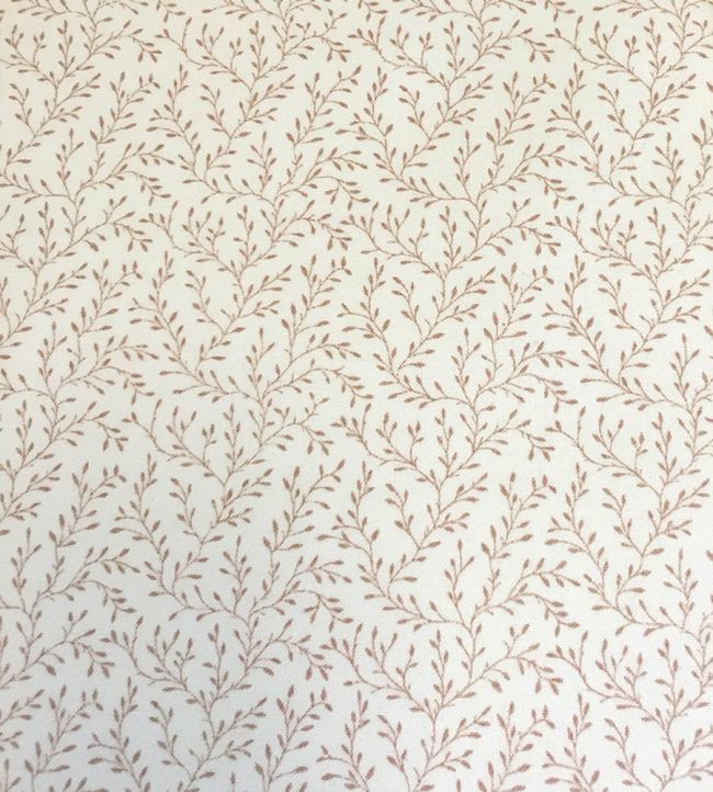 Leonie Fabric by Ian Sanderson Shrimp