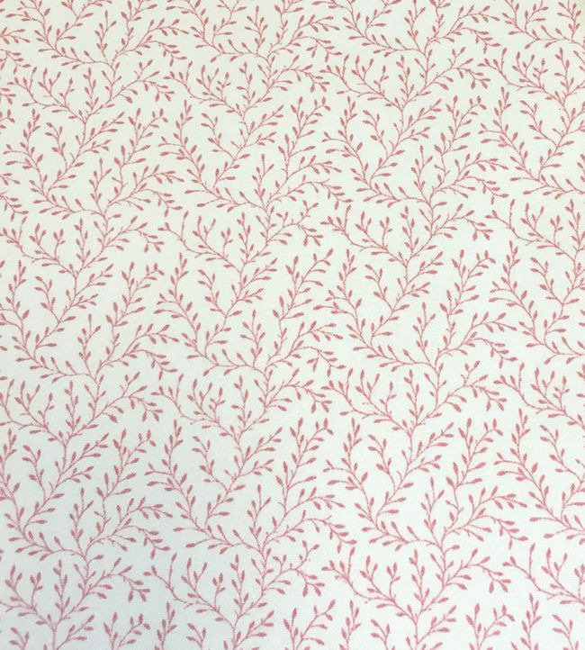 Leonie Fabric by Ian Sanderson Coral