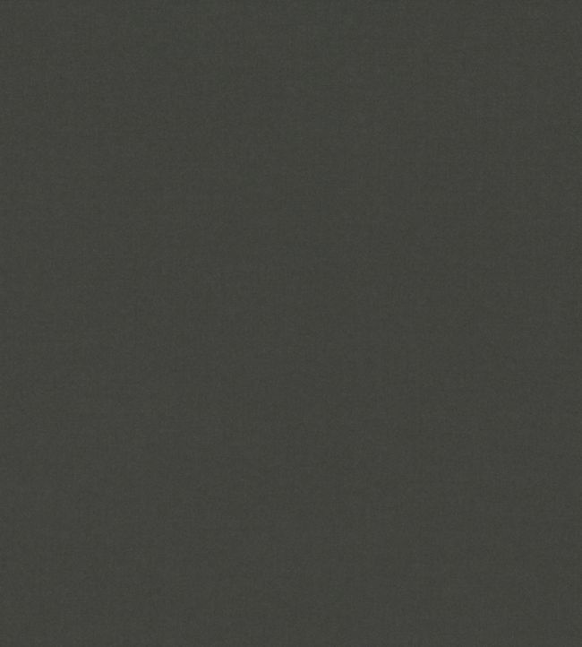 Ice II Fabric by Kirkby Design Anthracite