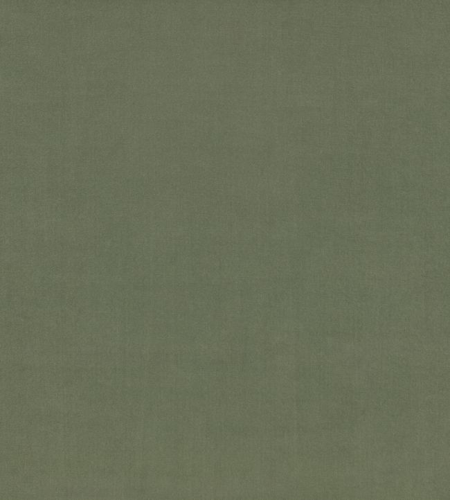 Ice II Fabric by Kirkby Design Avocado